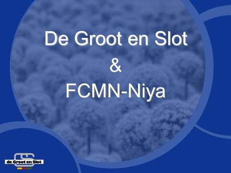 De Groot en Slot & FCMN-Niya.