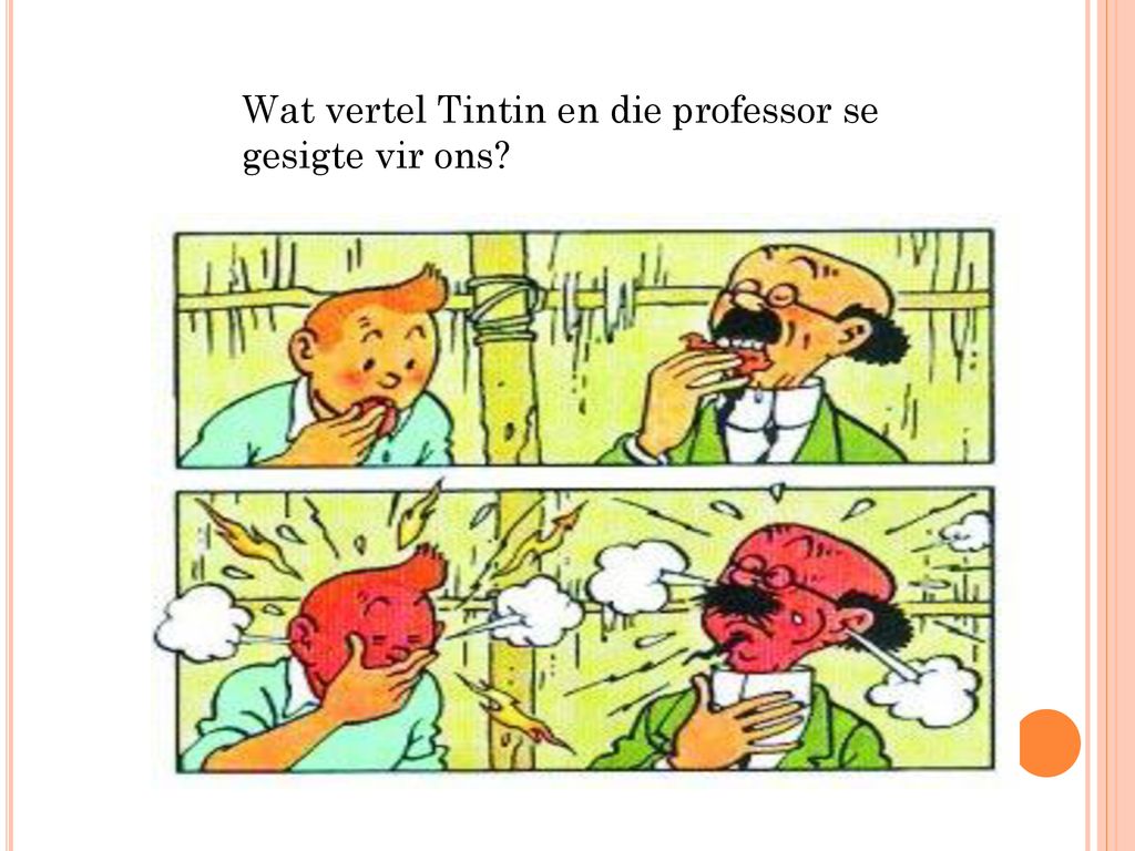 Wat vertel Tintin en die professor se gesigte vir ons