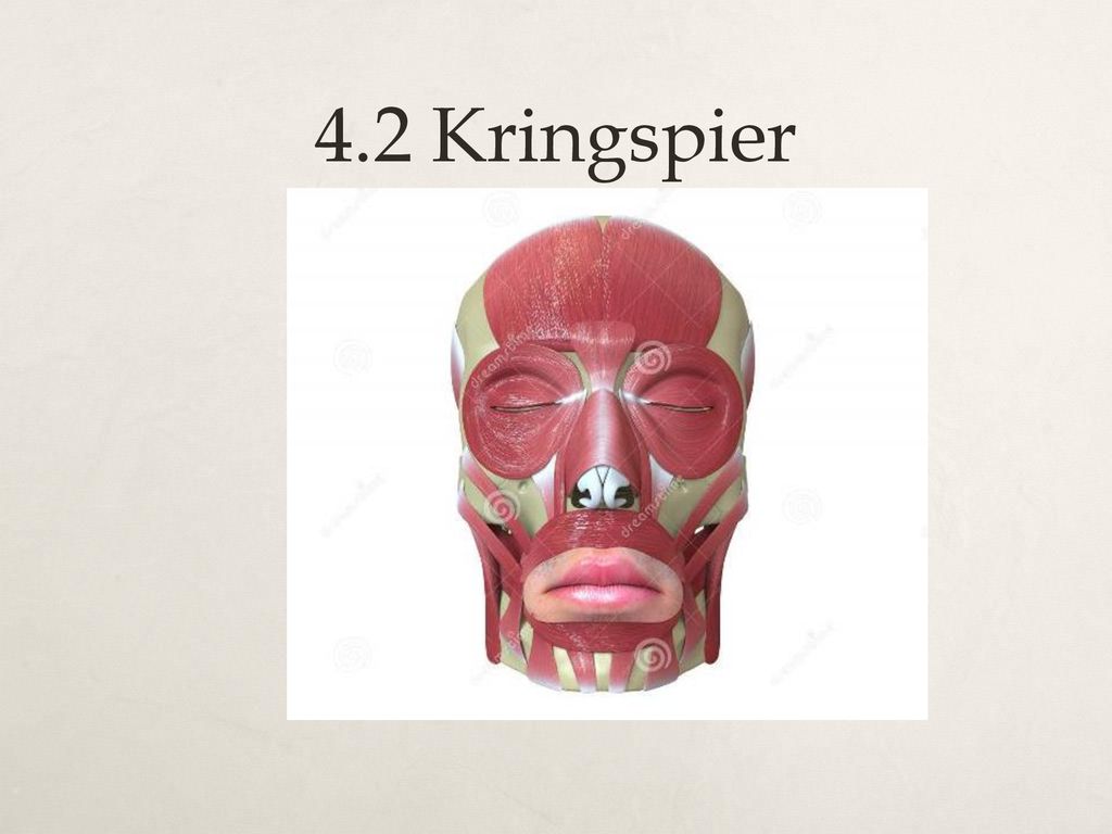 4.2 Kringspier