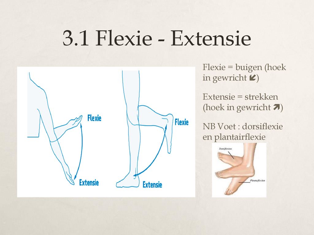 3.1 Flexie - Extensie Flexie = buigen (hoek in gewricht ) Extensie = strekken (hoek in gewricht ) NB Voet : dorsiflexie en plantairflexie