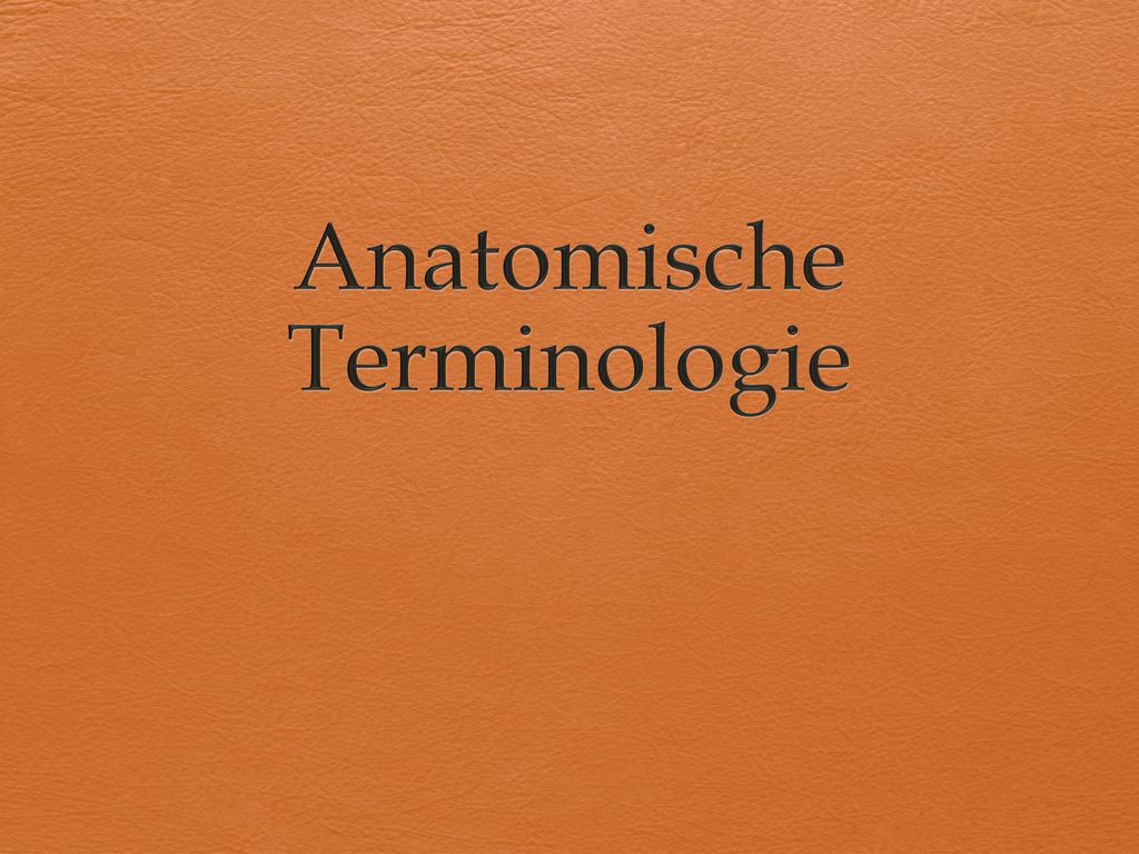 Anatomische Terminologie