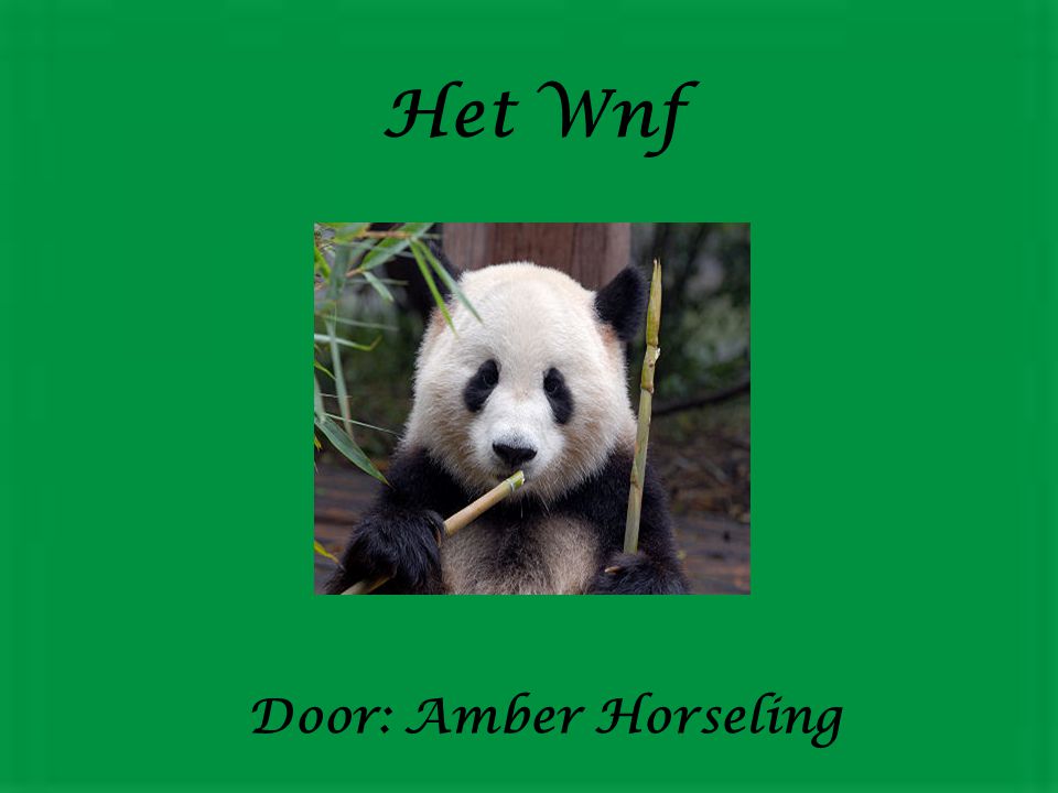 Het Wnf Door: Amber Horseling