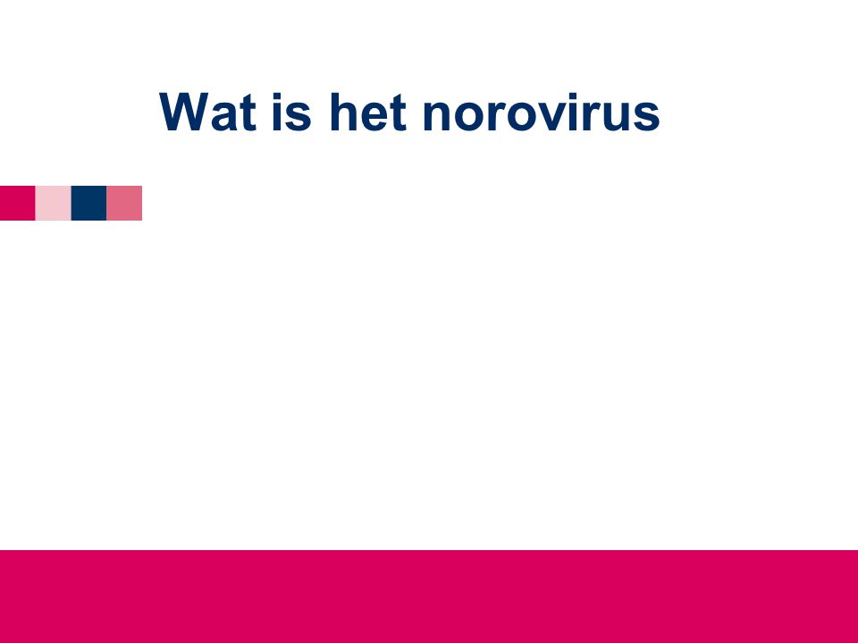 Wat is het norovirus