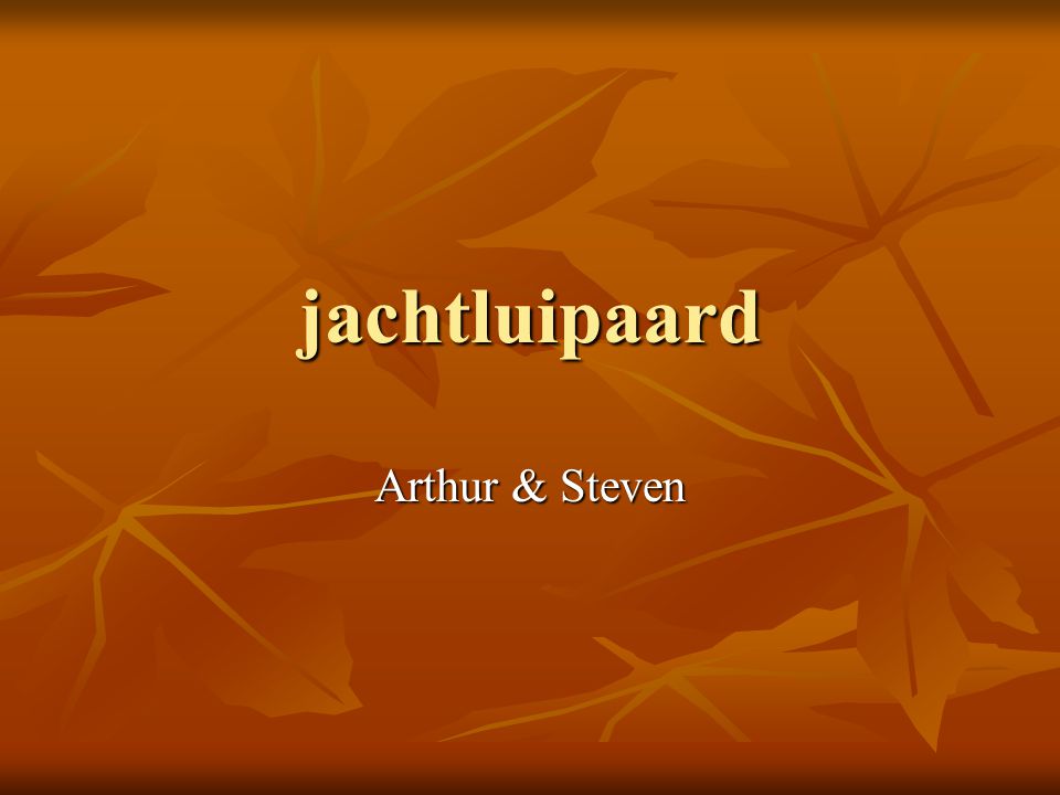 jachtluipaard Arthur & Steven