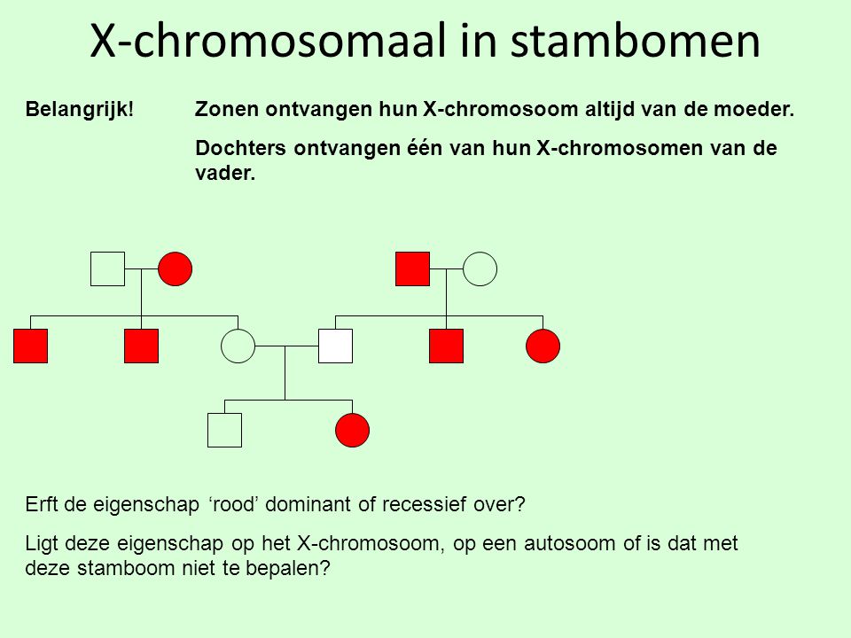 X-chromosomaal in stambomen