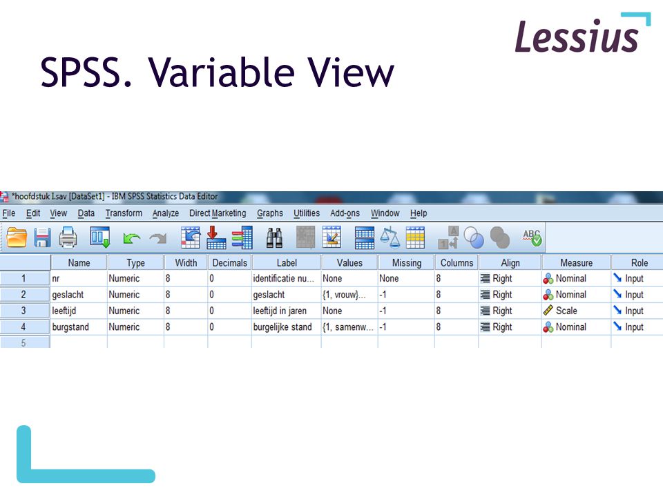 SPSS. Variable View