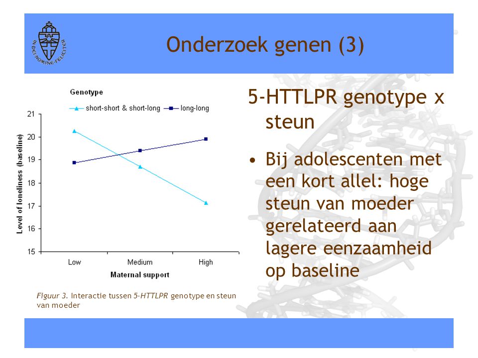 Onderzoek genen (3) 5-HTTLPR genotype x steun