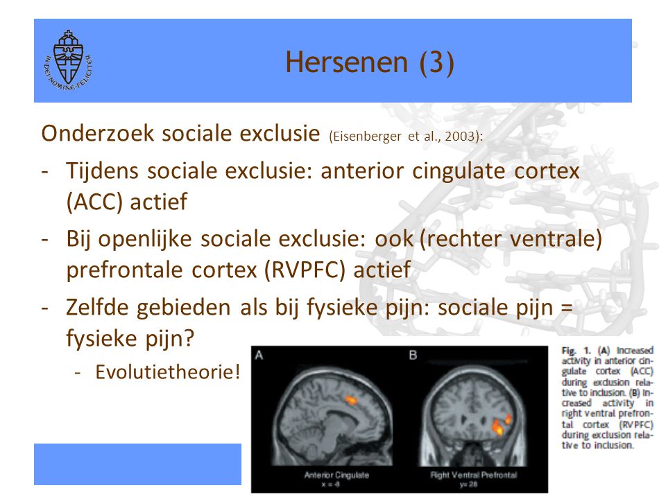 Hersenen (3) Onderzoek sociale exclusie (Eisenberger et al., 2003):