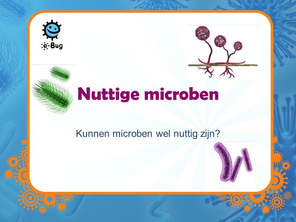 Kunnen microben wel nuttig zijn