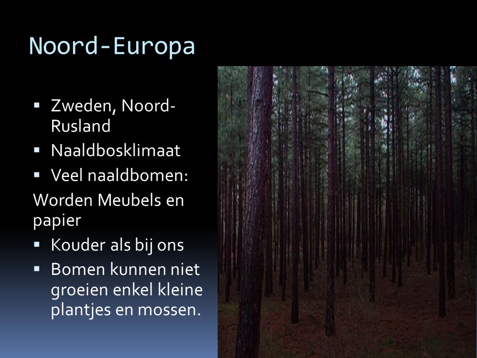 Noord-Europa Zweden, Noord- Rusland Naaldbosklimaat Veel naaldbomen: