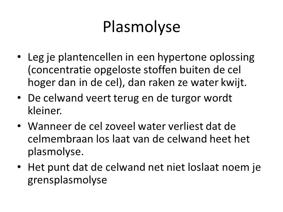 Plasmolyse