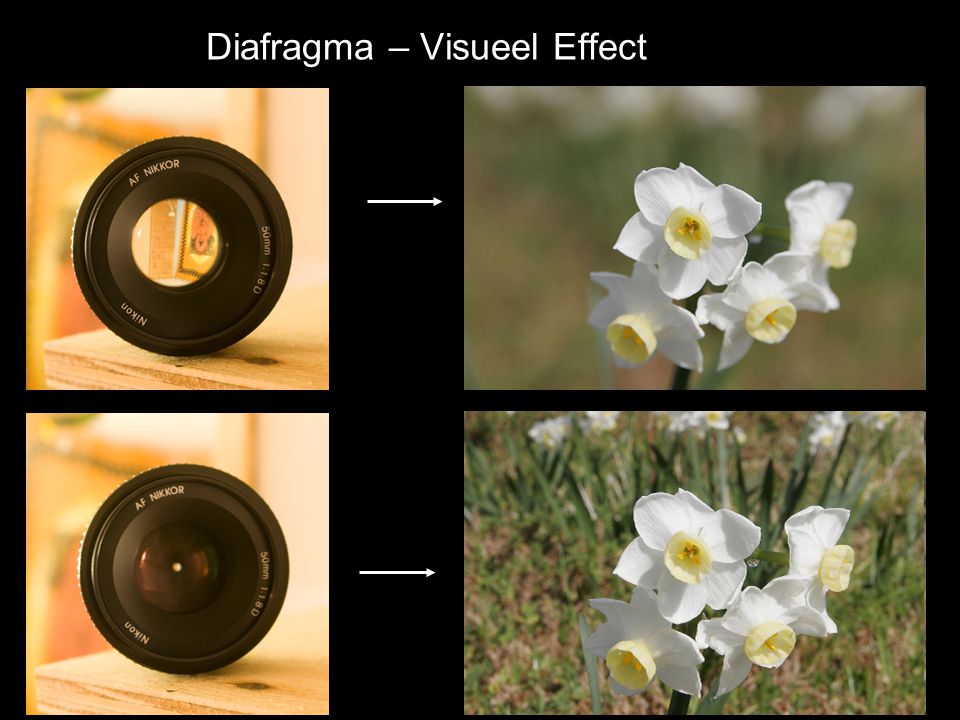 Diafragma – Visueel Effect