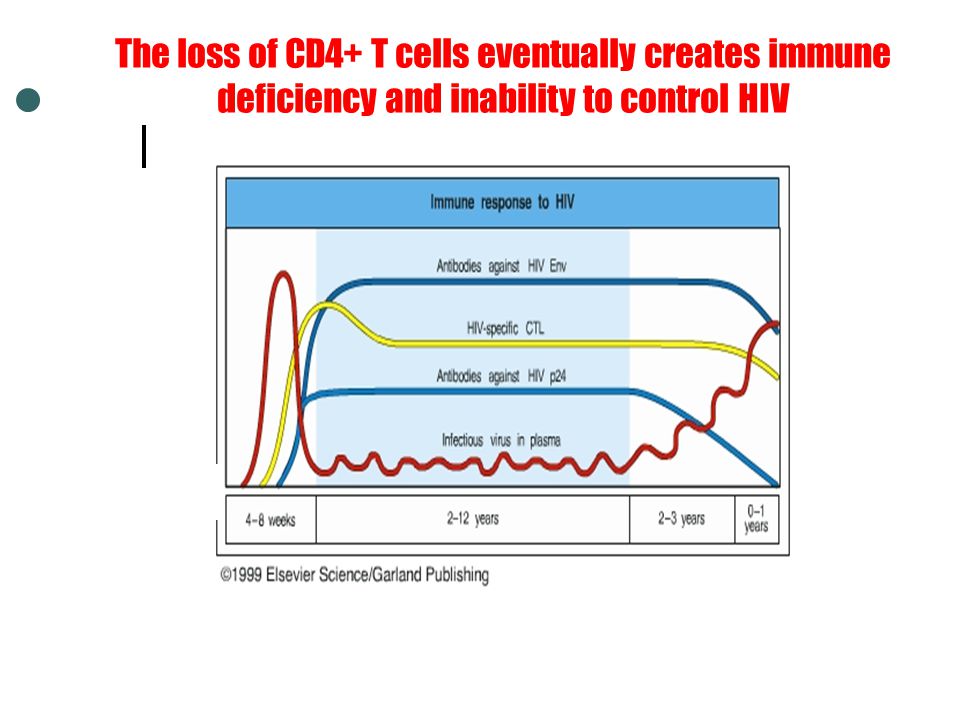 The loss of CD4+ T cells eventually creates immune deficiency and inability to control HIV