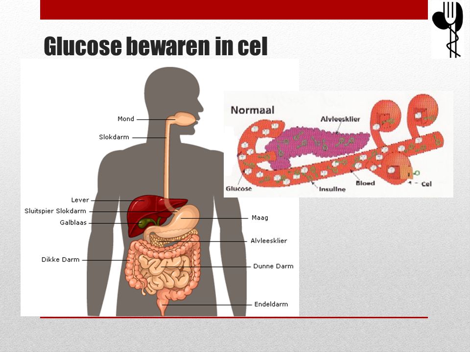 Glucose bewaren in cel