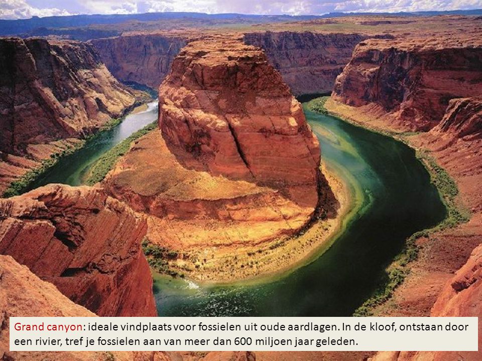 Grand canyon: ideale vindplaats voor fossielen uit oude aardlagen
