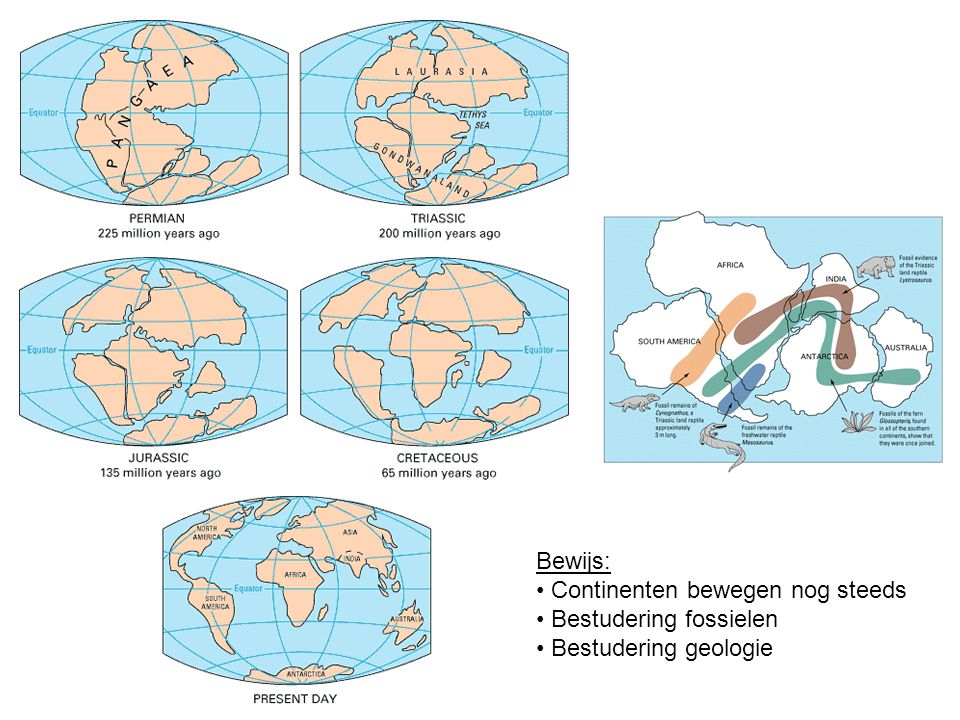 Bewijs: Continenten bewegen nog steeds Bestudering fossielen Bestudering geologie