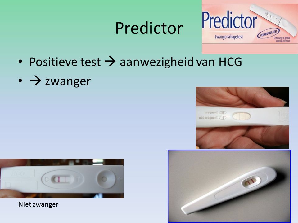 Predictor Positieve test  aanwezigheid van HCG  zwanger Niet zwanger