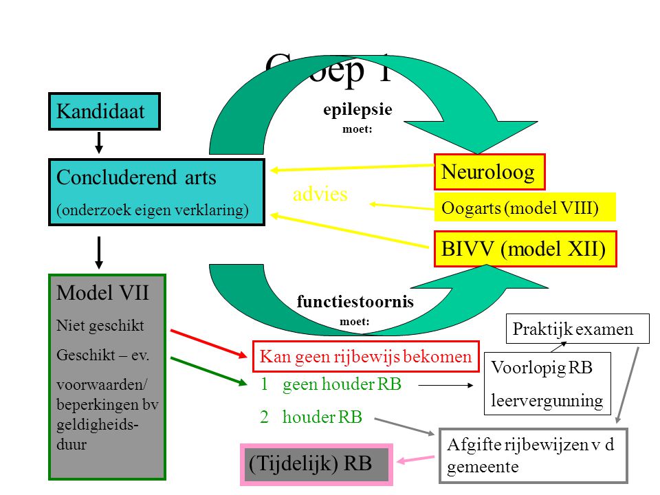 Groep 1 Kandidaat Neuroloog Concluderend arts advies BIVV (model XII)