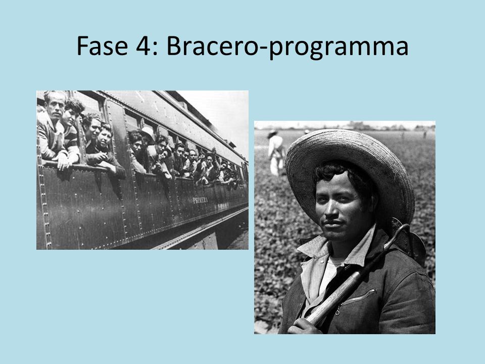 Fase 4: Bracero-programma