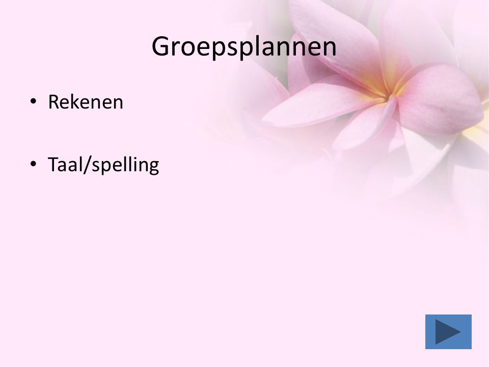 Groepsplannen Rekenen Taal/spelling
