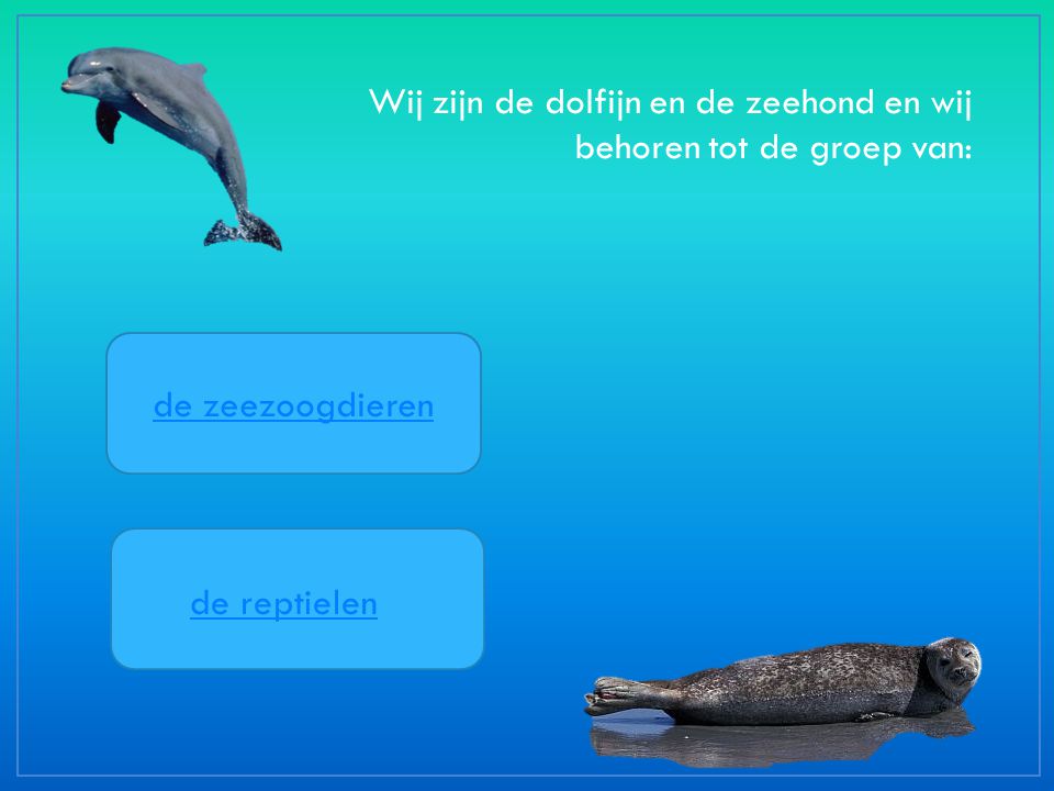 Wij zijn de dolfijn en de zeehond en wij behoren tot de groep van: