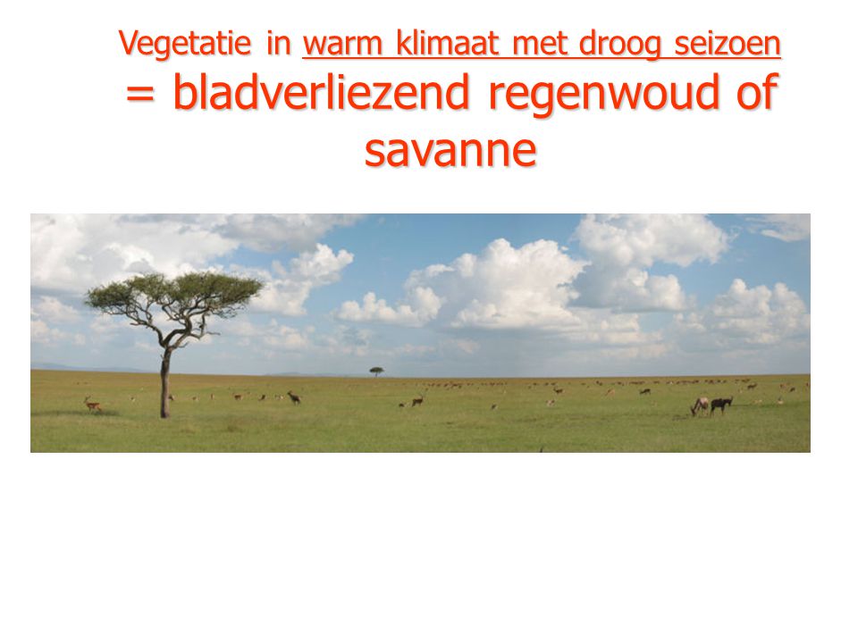 Vegetatie in warm klimaat met droog seizoen = bladverliezend regenwoud of savanne