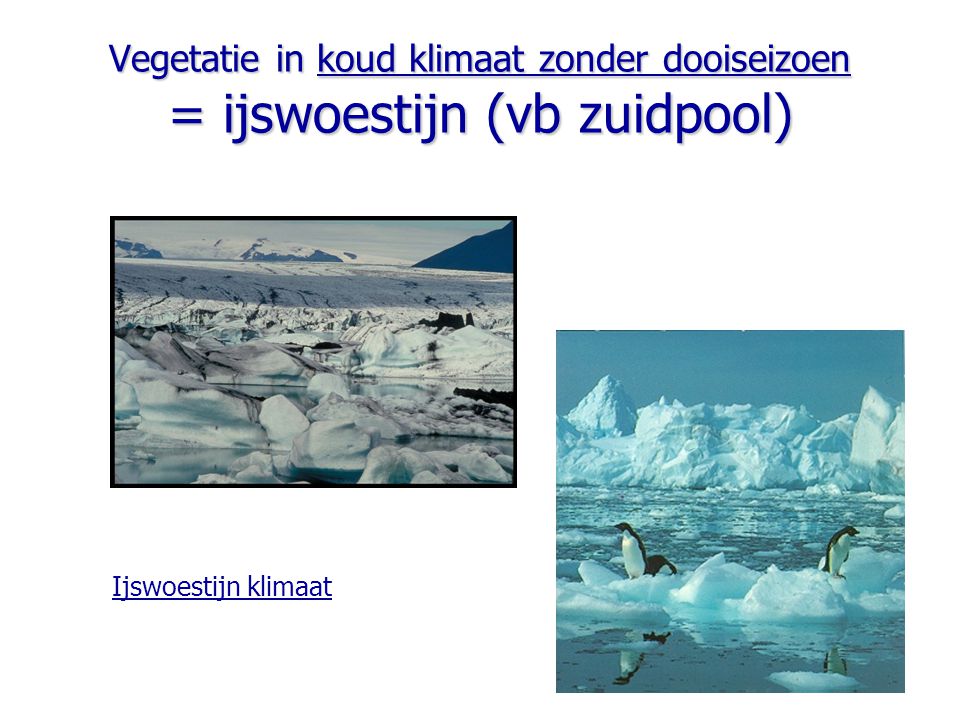 Vegetatie in koud klimaat zonder dooiseizoen = ijswoestijn (vb zuidpool)