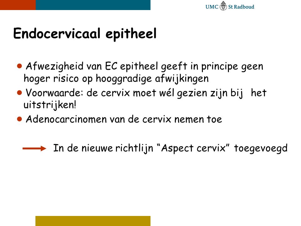 Endocervicaal epitheel