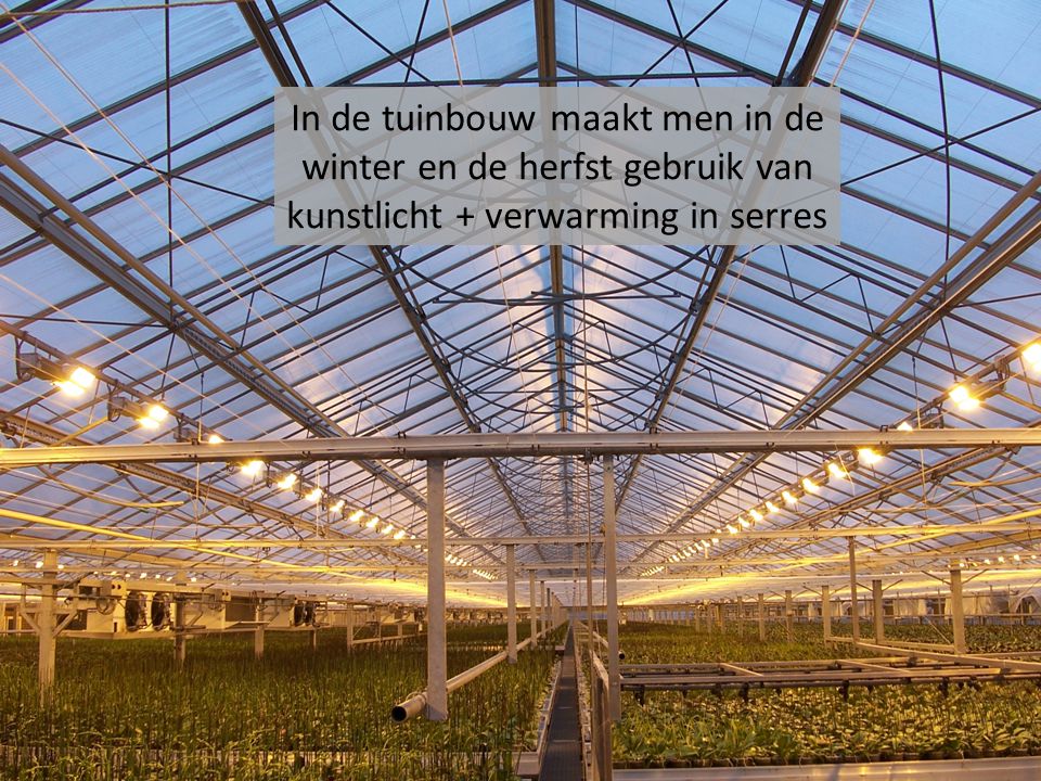 In de tuinbouw maakt men in de winter en de herfst gebruik van kunstlicht + verwarming in serres