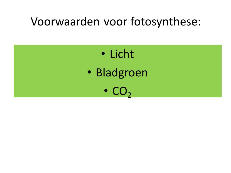 Voorwaarden voor fotosynthese: