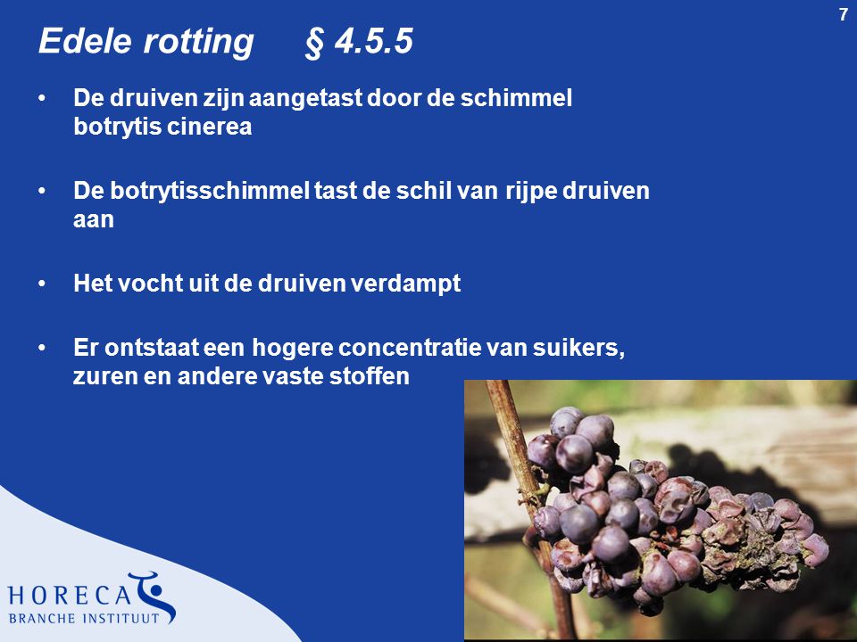 Edele rotting § De druiven zijn aangetast door de schimmel botrytis cinerea. De botrytisschimmel tast de schil van rijpe druiven aan.