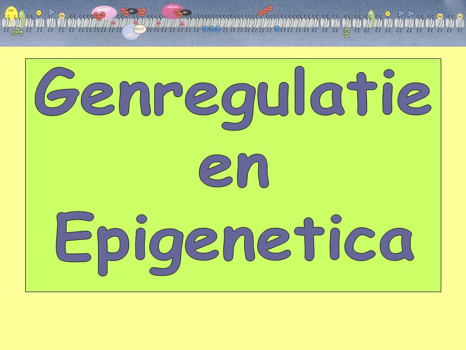 Genregulatie en Epigenetica