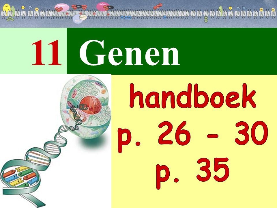 11 Genen handboek p p. 35