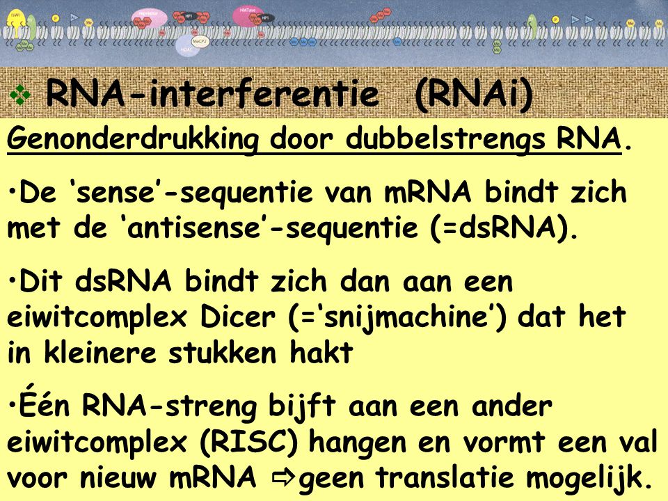 RNA-interferentie (RNAi)
