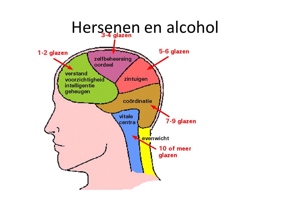 Hersenen en alcohol