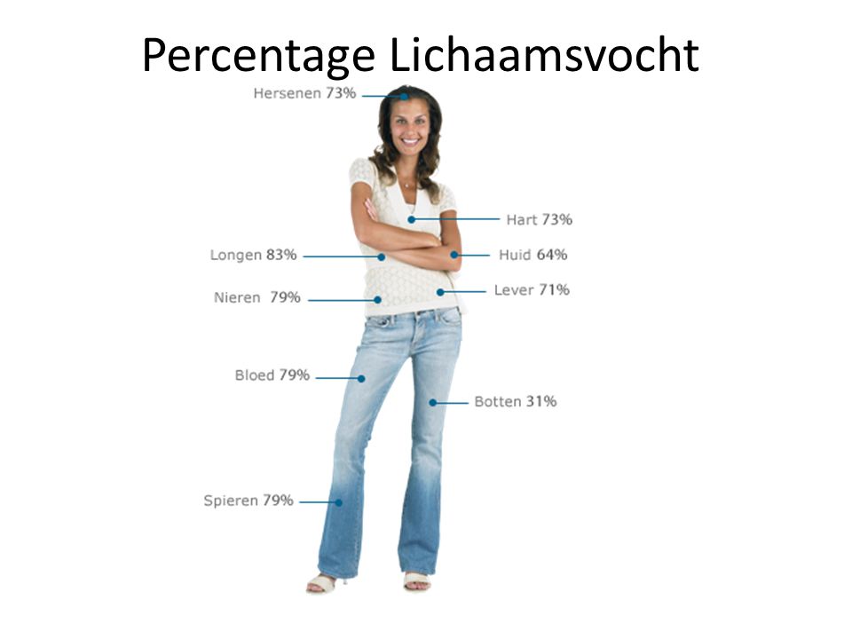 Percentage Lichaamsvocht
