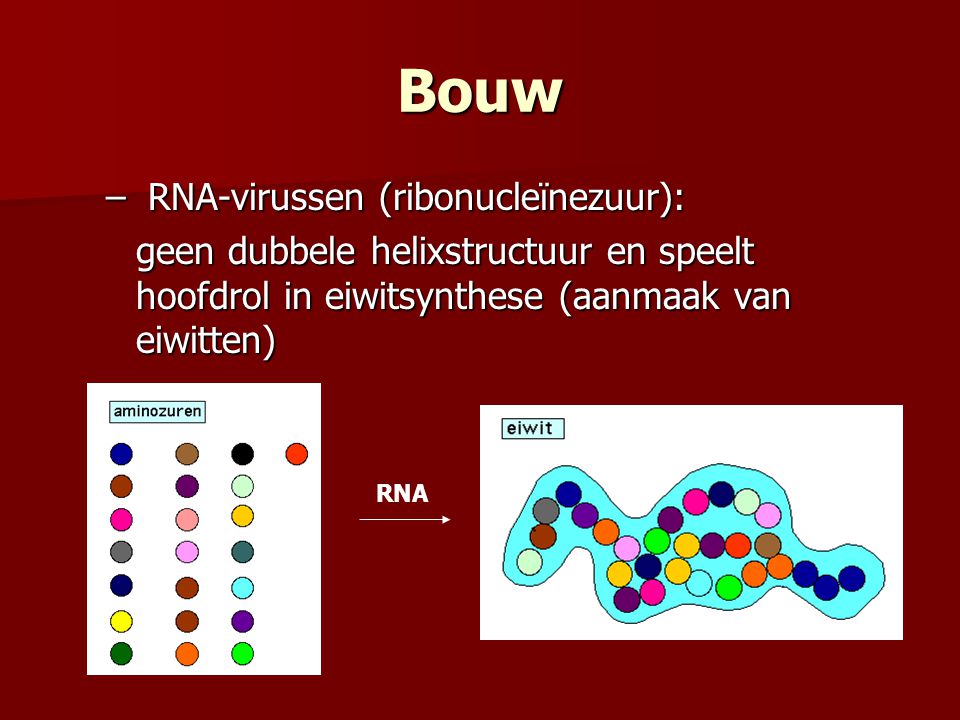 Bouw RNA-virussen (ribonucleïnezuur):