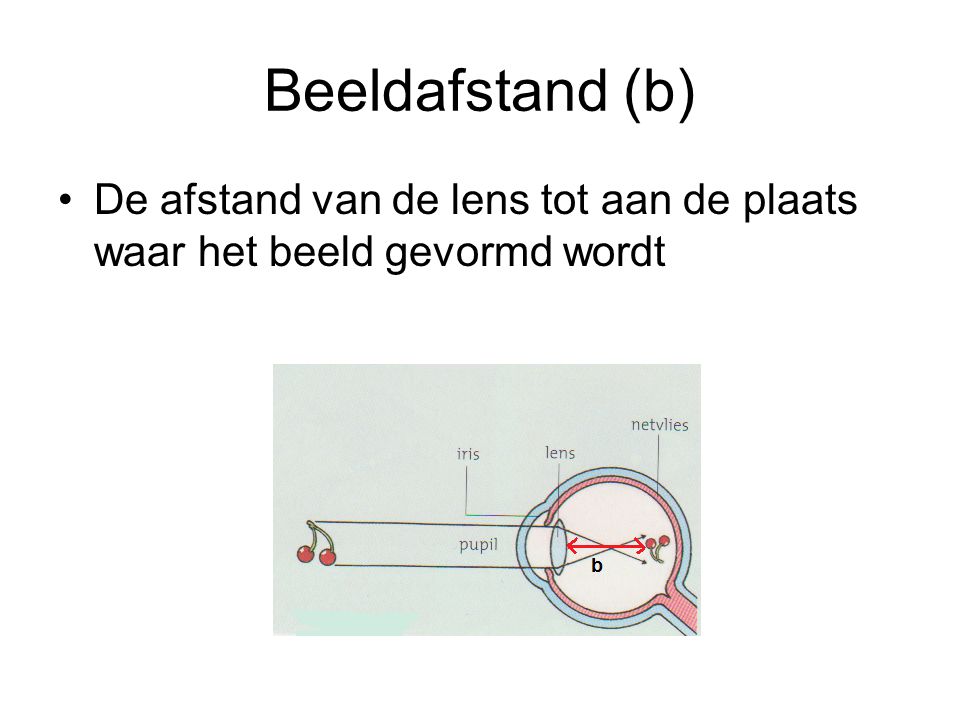 Beeldafstand (b) De afstand van de lens tot aan de plaats waar het beeld gevormd wordt