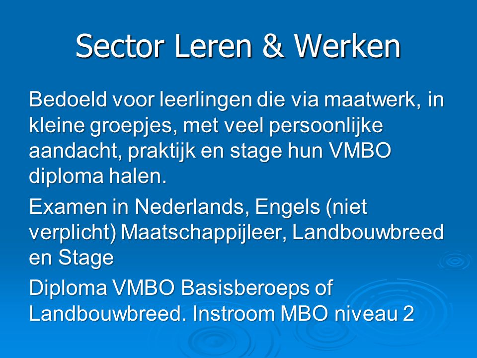 Sector Leren & Werken