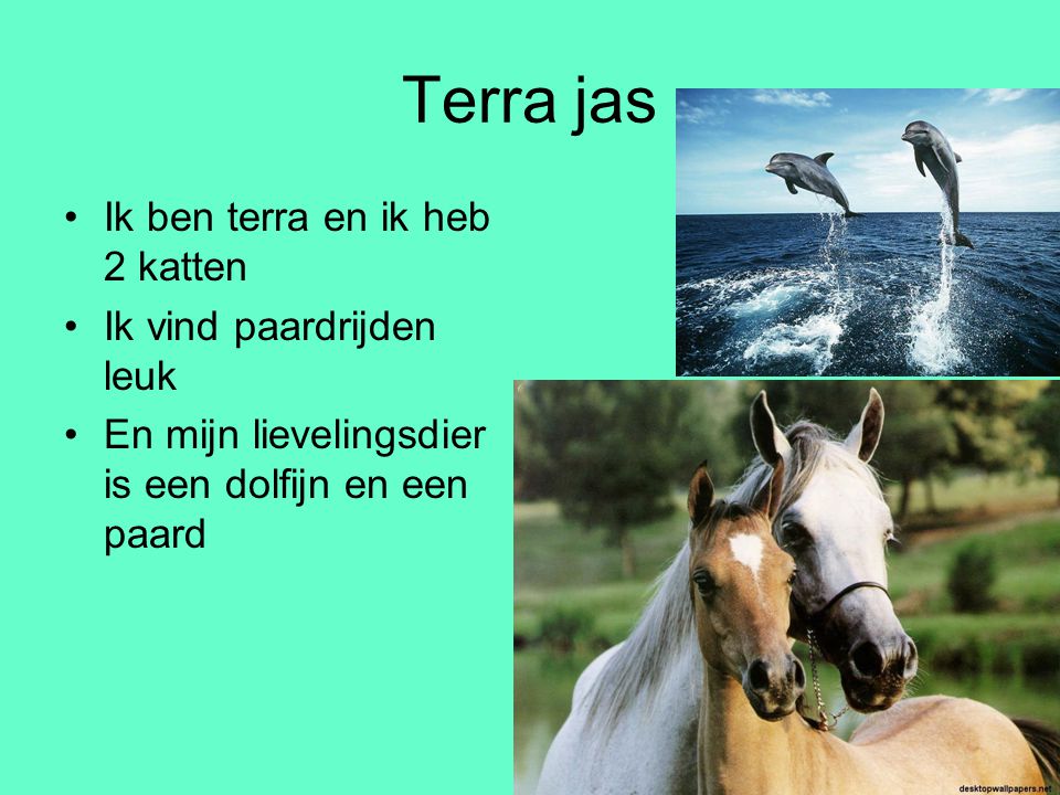 Terra jas Ik ben terra en ik heb 2 katten Ik vind paardrijden leuk