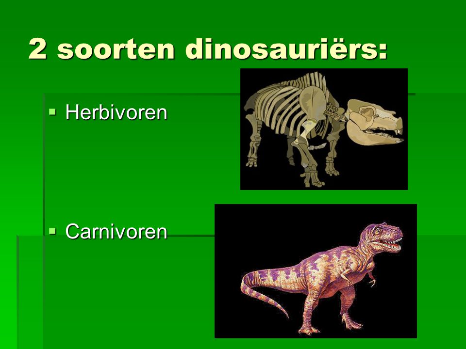 2 soorten dinosauriërs: