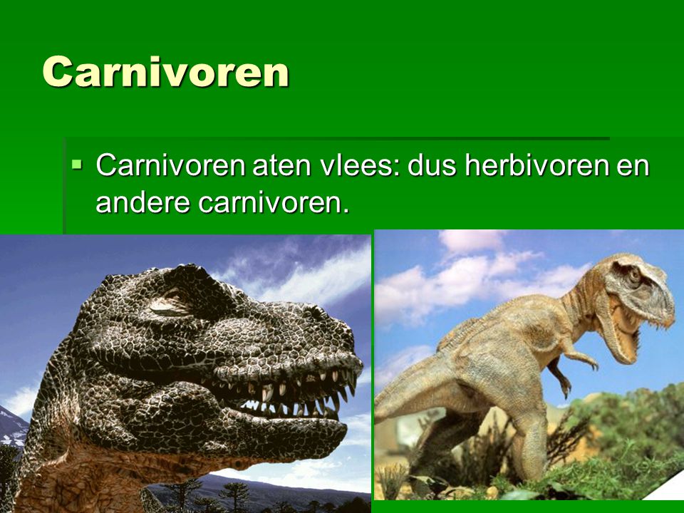 Carnivoren Carnivoren aten vlees: dus herbivoren en andere carnivoren.