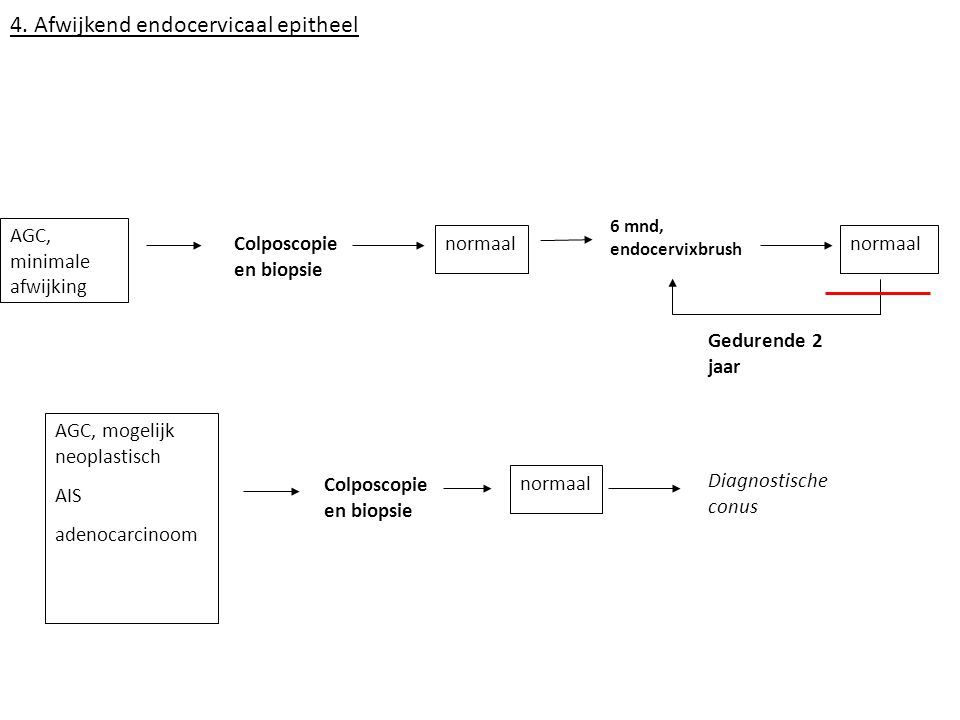 4. Afwijkend endocervicaal epitheel