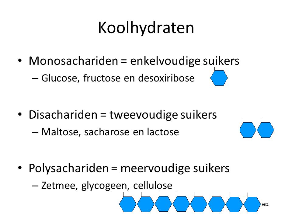 Koolhydraten Monosachariden = enkelvoudige suikers