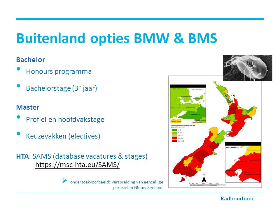 Buitenland opties BMW & BMS