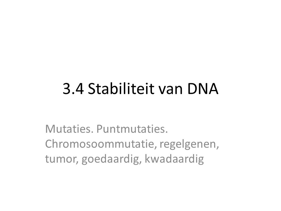 3.4 Stabiliteit van DNA Mutaties. Puntmutaties.