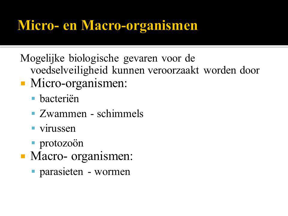 Micro- en Macro-organismen