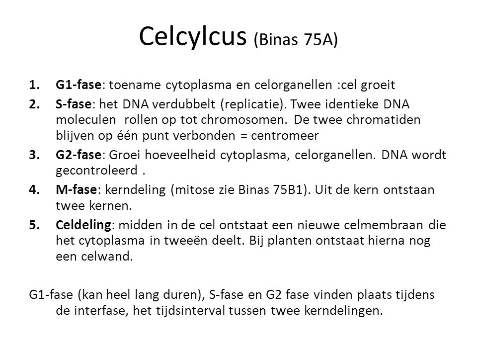 Celcylcus (Binas 75A) G1-fase: toename cytoplasma en celorganellen :cel groeit.