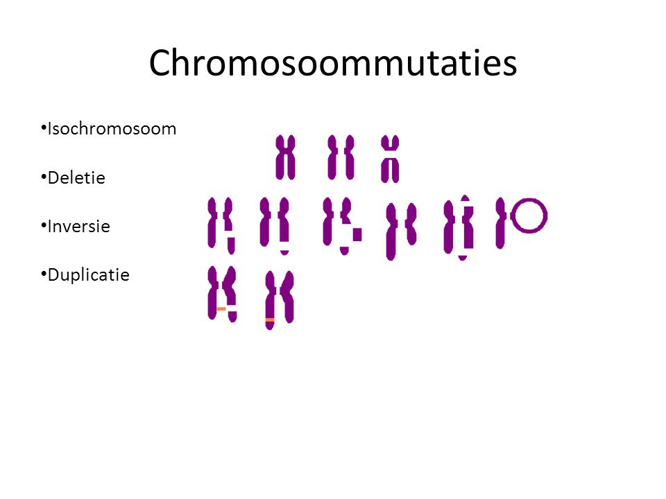 Chromosoommutaties Isochromosoom Deletie Inversie Duplicatie