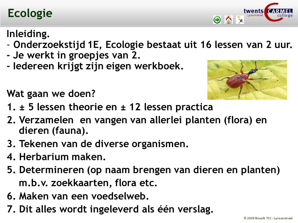 Ecologie Inleiding. Onderzoekstijd 1E, Ecologie bestaat uit 16 lessen van 2 uur. - Je werkt in groepjes van 2.